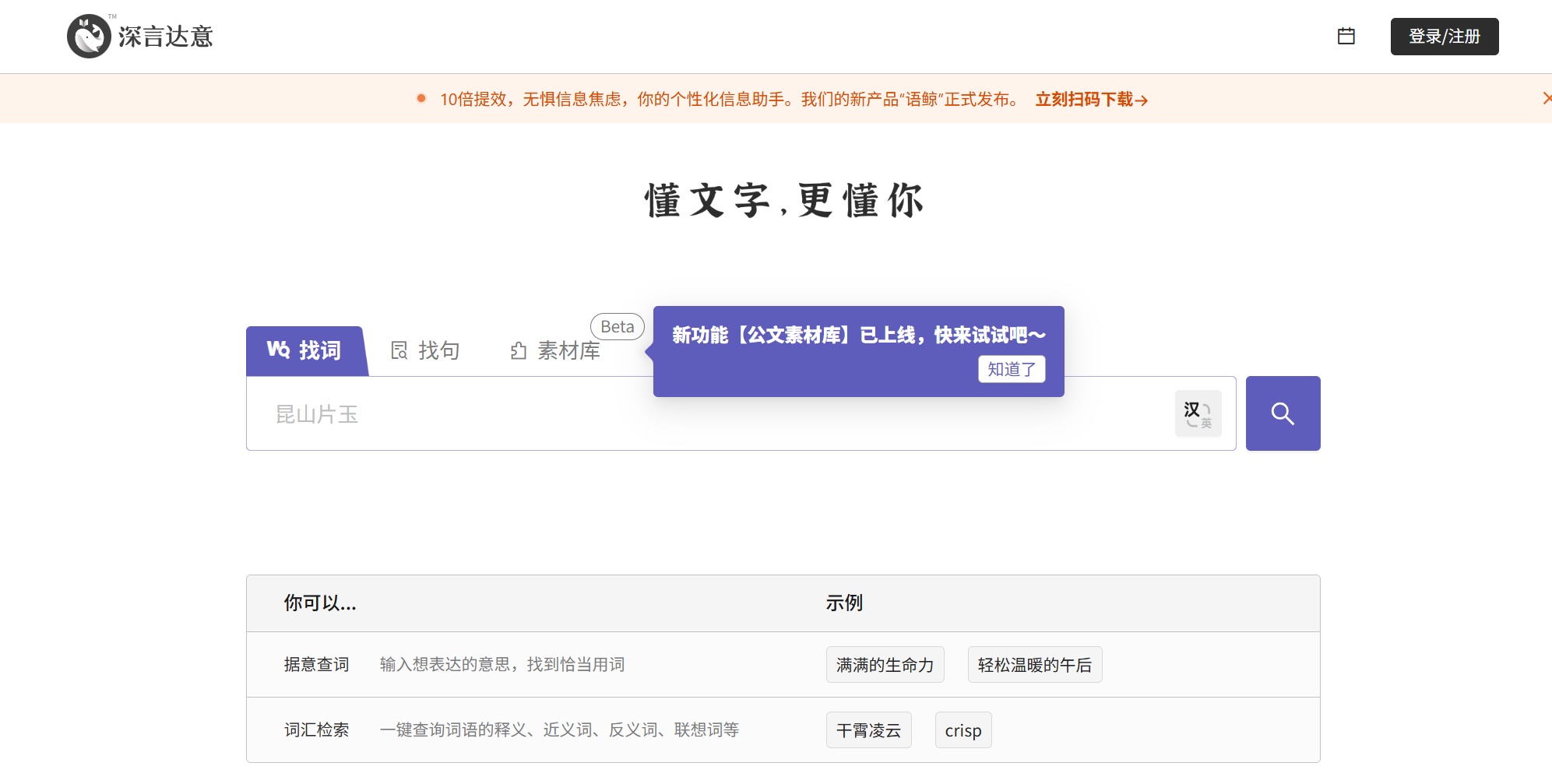 深言达意