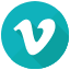 Vidu